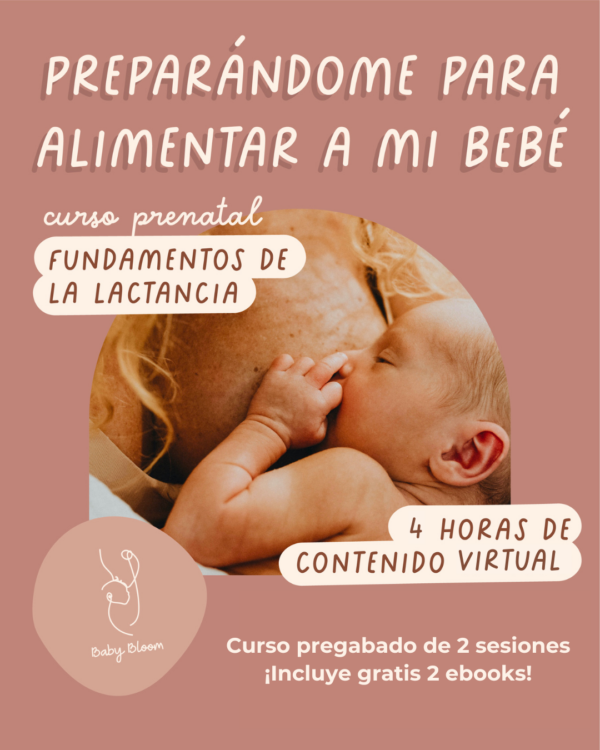 Curso PREGRABADO Fundamentos de La Lactancia