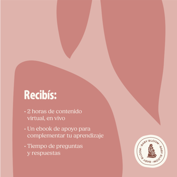 Biberones y Lactancia: Curso Virtual - Imagen 4